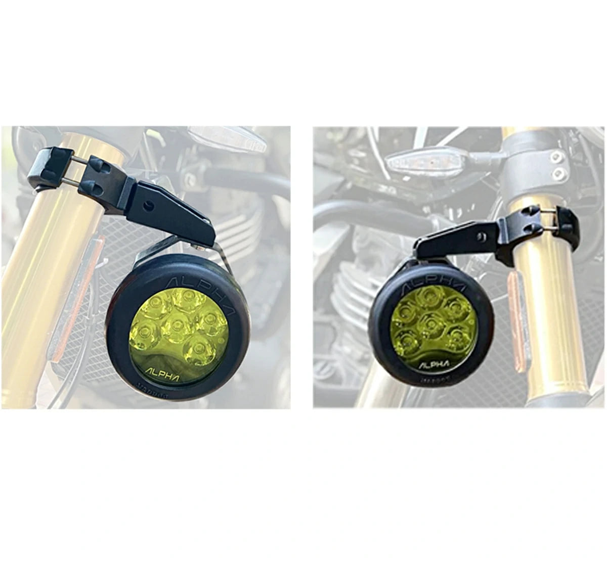 MADDOG - FORK CLAMP